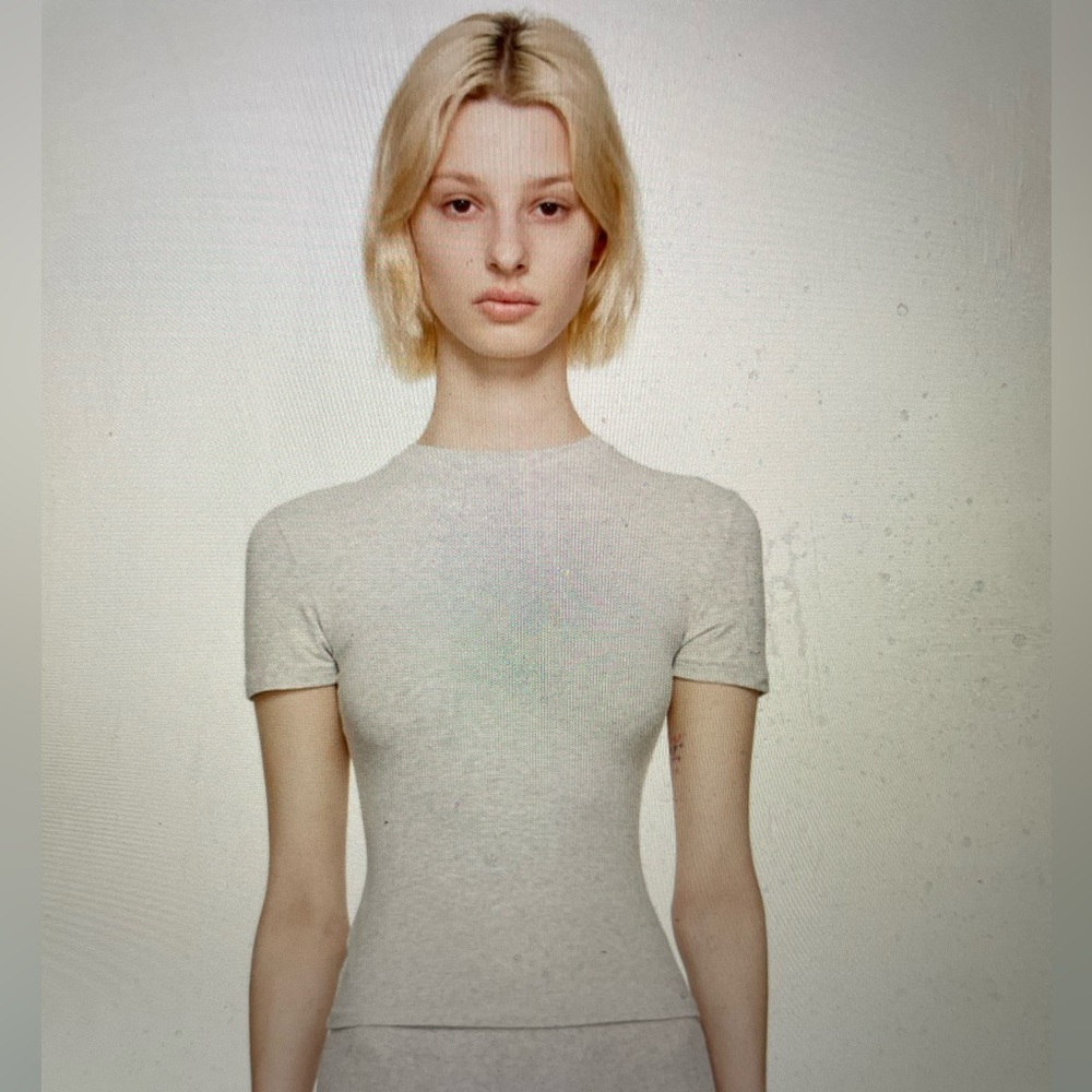 Skims Grey cotton 2.0 Jersey t-shirt